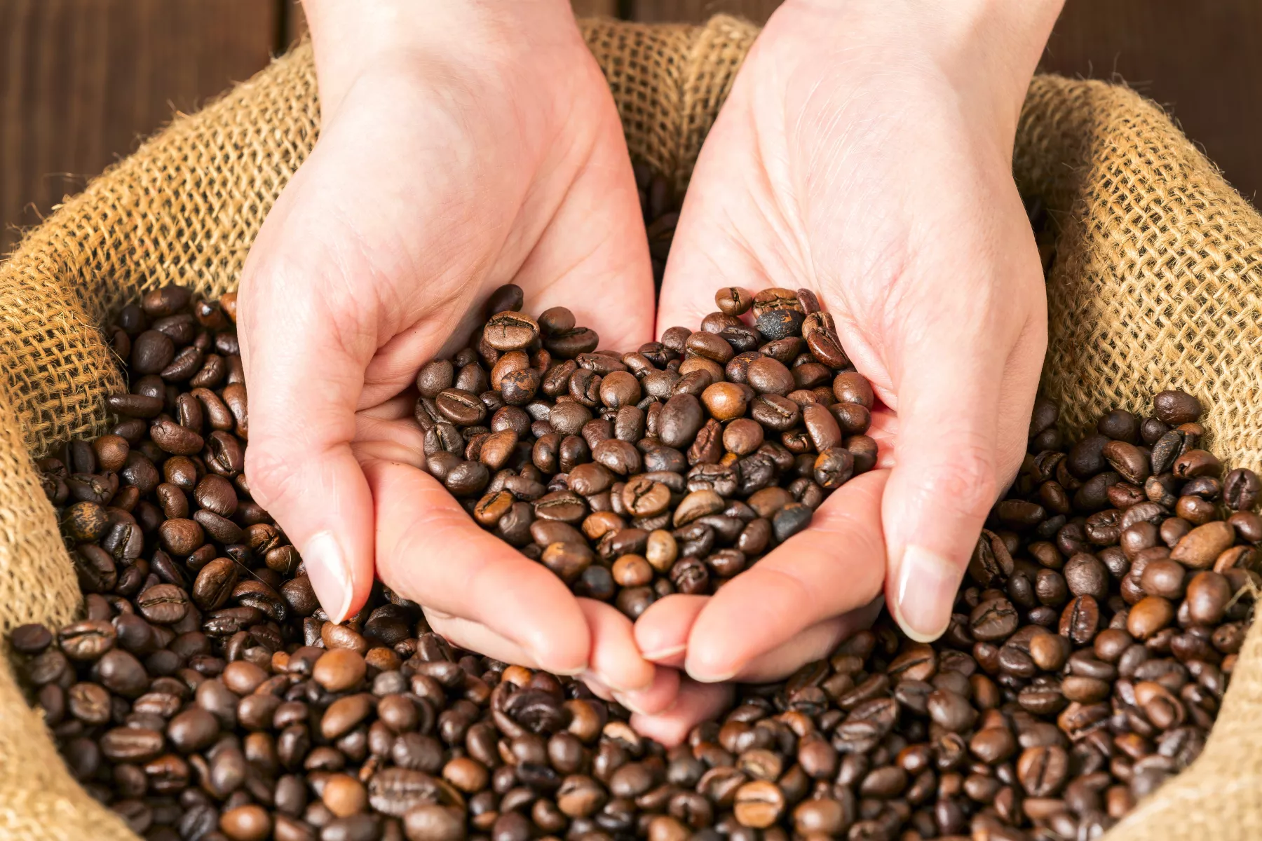 Cómo evaluar la calidad en un café de especialidad
