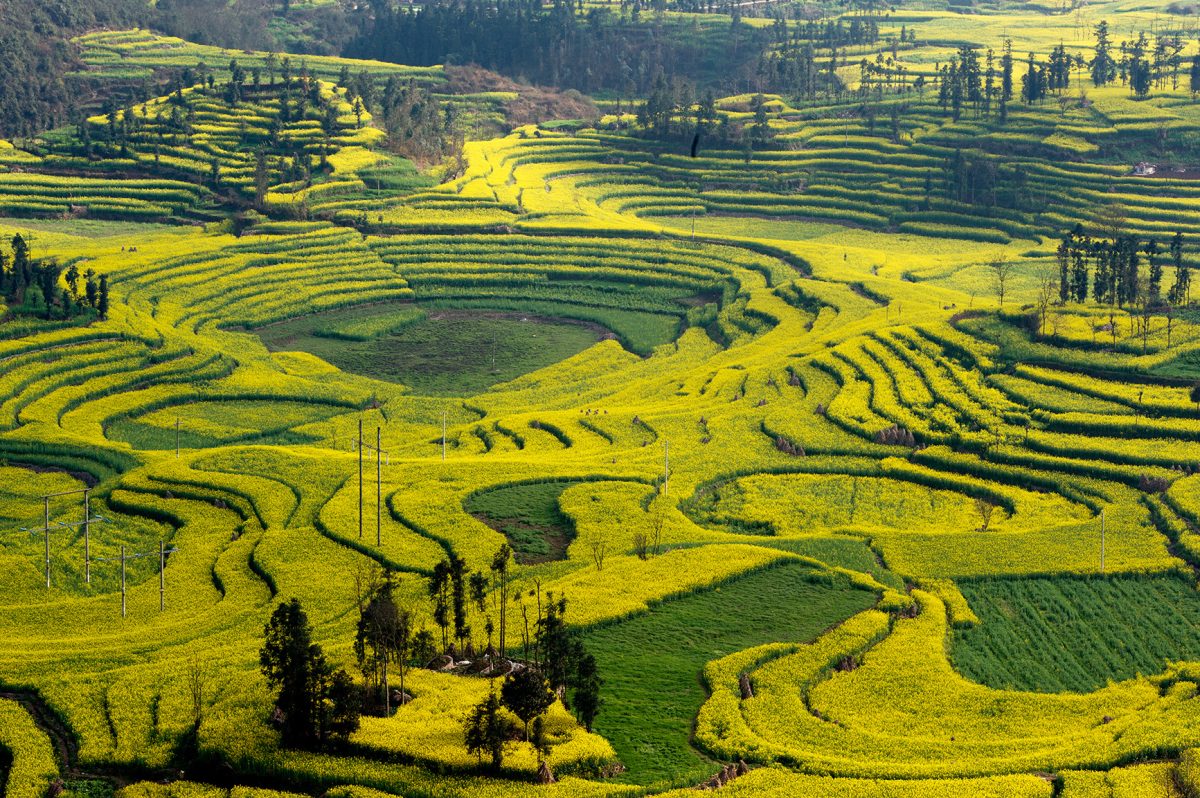 Eventos de Café de Yunnan