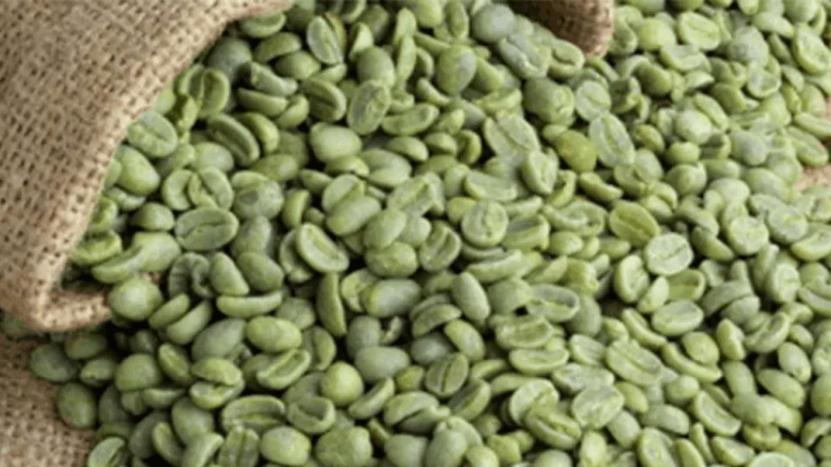 café en granos verdes: tendencias y futuro