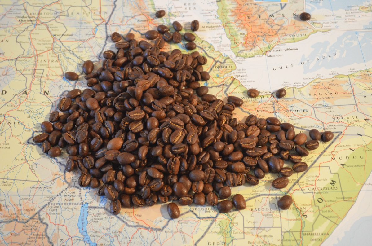 Café de especialidad chino vs. café etíope