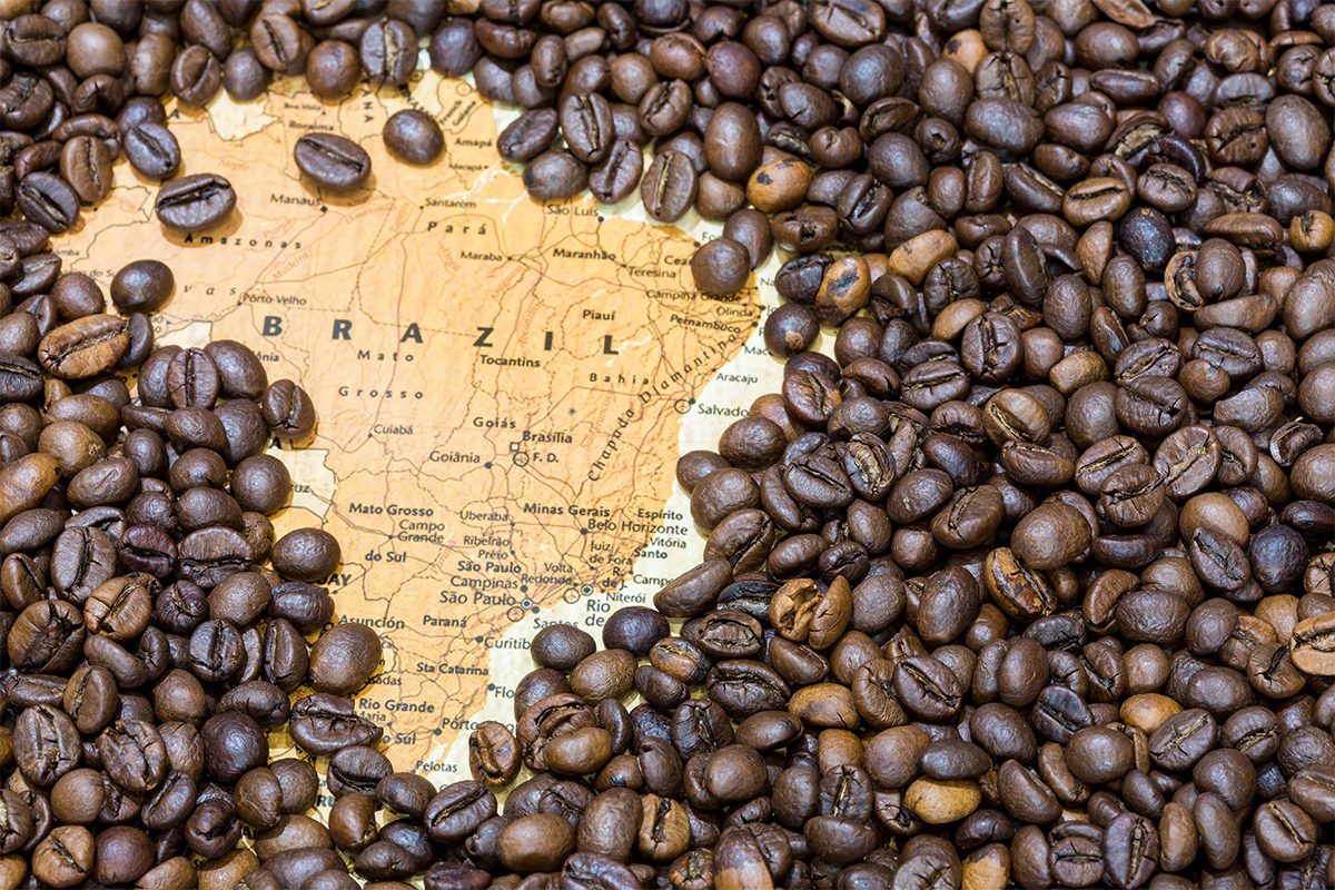 café chino de especialidad y café brasileño