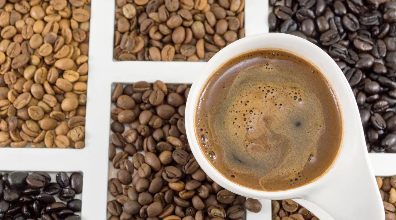 cafe de especialidad