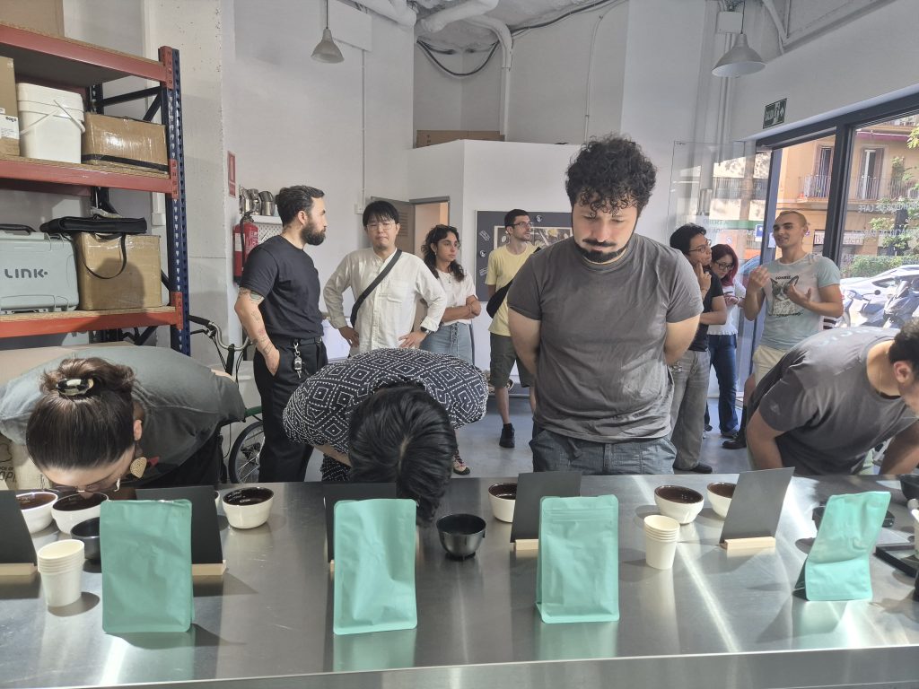cata de café Brew Coffee Lab